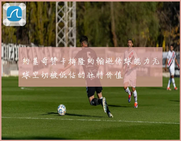 约基奇赞卡梅隆约翰逊传球能力无球空切被低估的独特价值